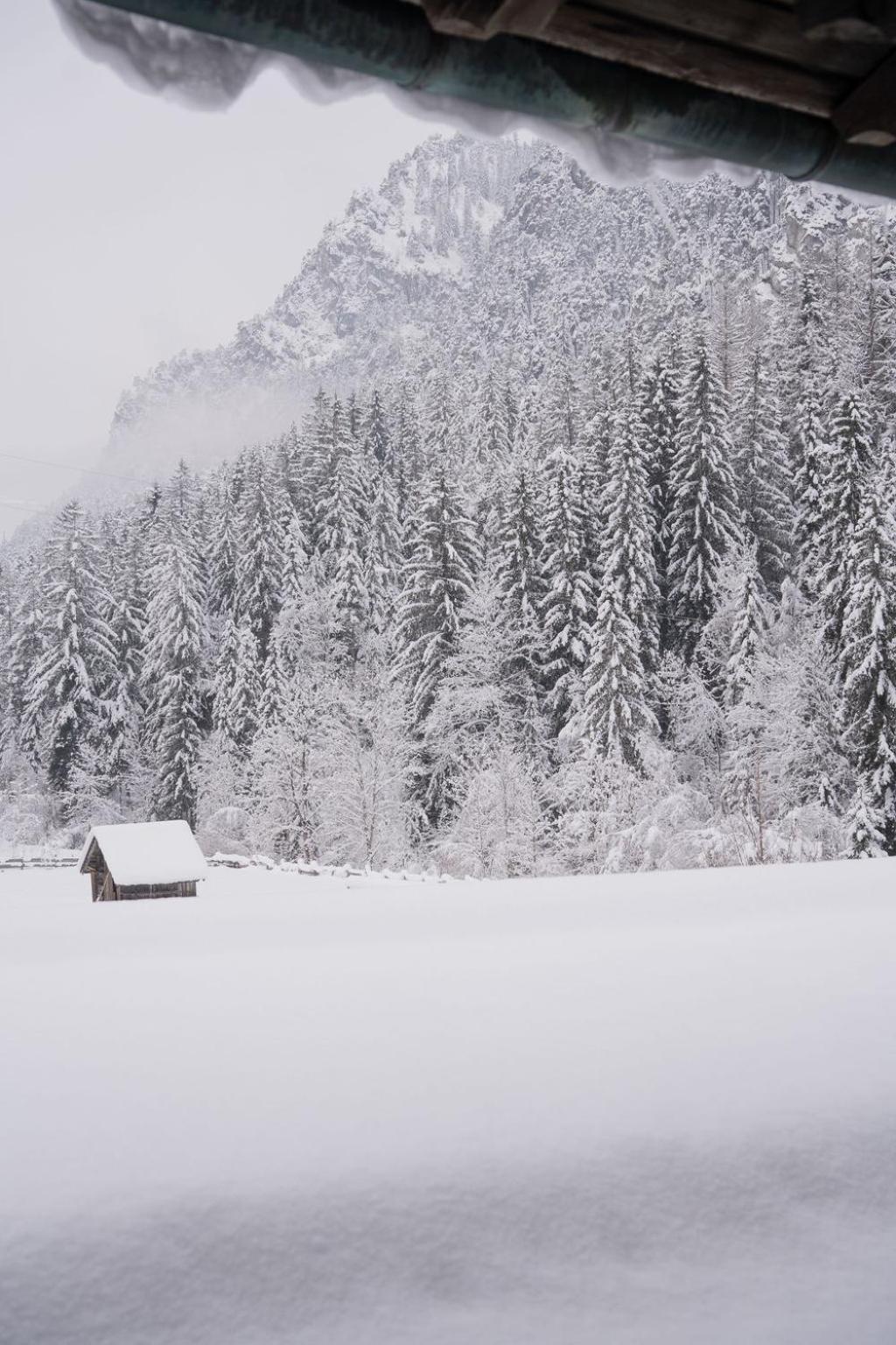 Fruehstueckspension Auer - Haus Kargl Schladming Eksteriør bilde